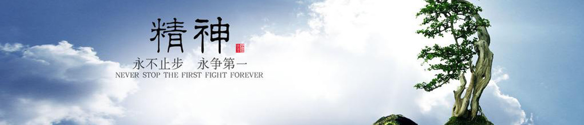 企業實力
